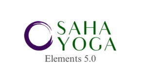 Saha Yoga Studio